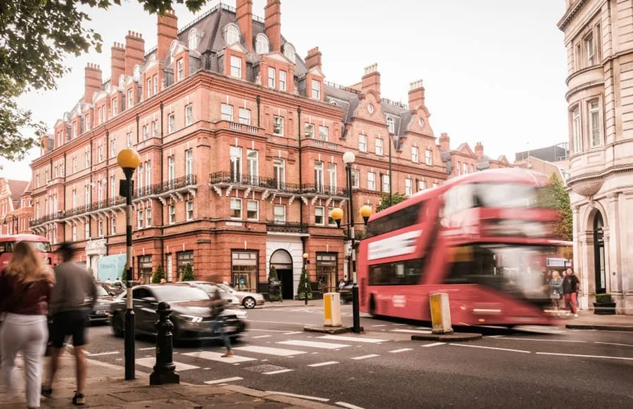 WordPress Agency Chelsea